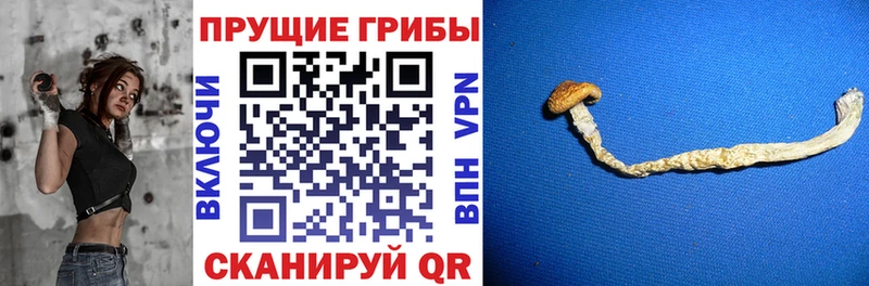 Псилоцибиновые грибы мухоморы Алатырь